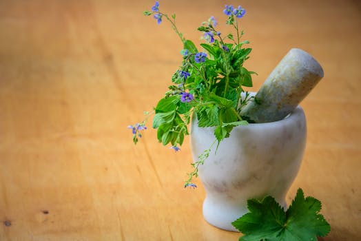 Natural Remedies in Nepal: Herbs and Plants for Healing