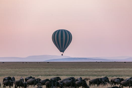 Scenic Hot Air Balloon Rides: Soaring Above Beautiful Landscapes