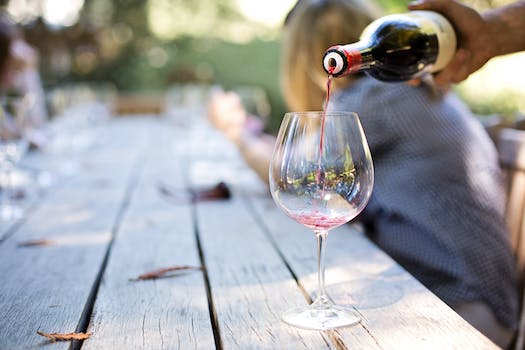 Wine Tasting Tours: Unwinding with the Finest Vintages
