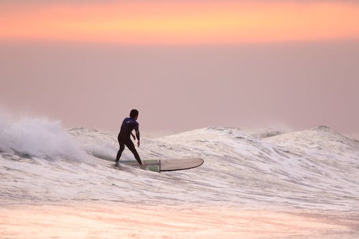 Surfing Paradises: Catching Waves in Surfer’s Haven