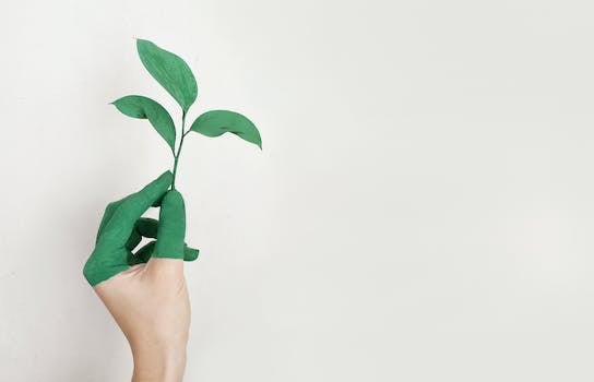 Green Hosting: The Path to a More Sustainable Web Presence