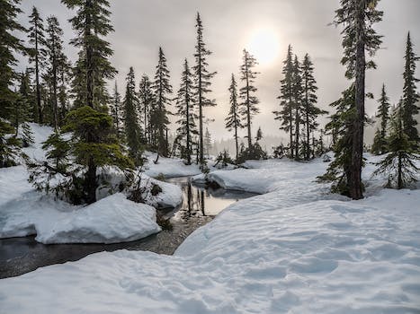 Winter Wonderland Destinations: Snowy Getaways